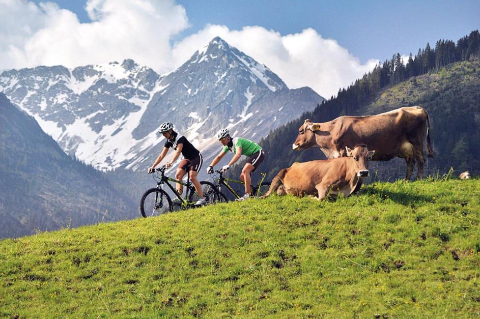 Alpin Lodges - Moderne Appartements Mit Zugang Zu 3000 Qm Spa Panoramahotel Oberjoch Bad Hindelang Kültér fotó
